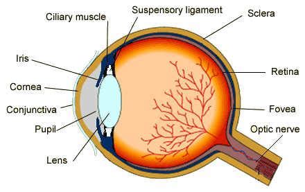 Eye diagram