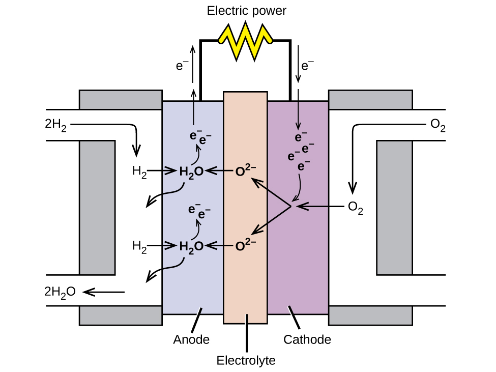 Fuel Cell Diagram